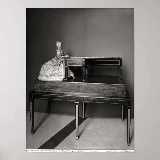 Pôster Dulcimer Player (Frente)