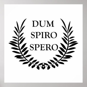 Poster Dum spiro spero