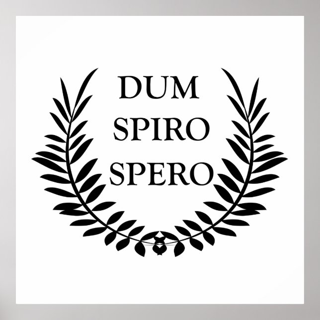 Poster Dum spiro spero (Frente)