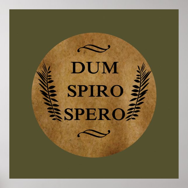 Poster Dum spiro spero (Frente)