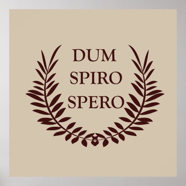 Poster Dum spiro spero (Frente)