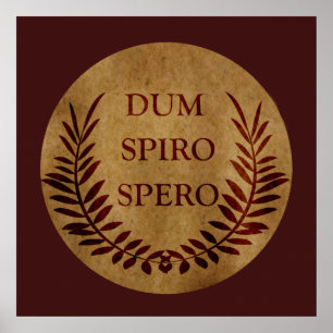 Poster dum spiro spero, frase em latim