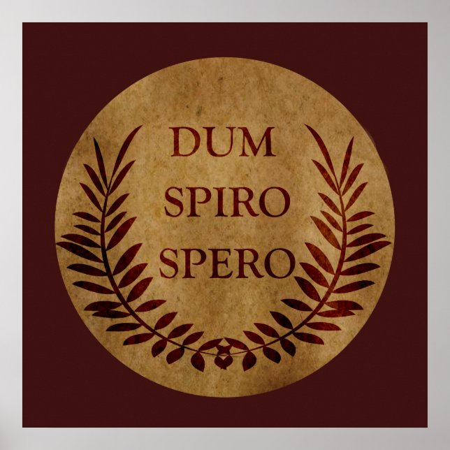 Poster dum spiro spero, frase em latim (Frente)
