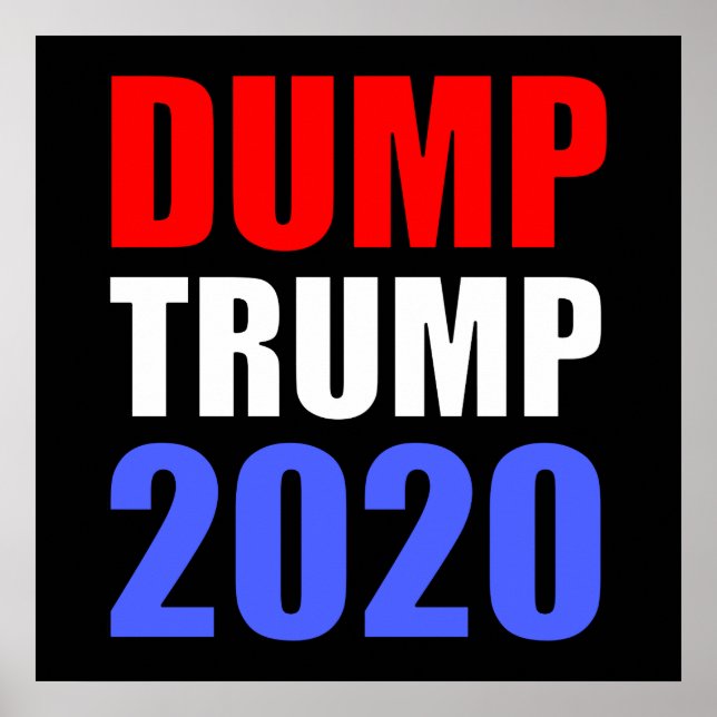 Poster Dump Trump 2020 Anti-Trump (Frente)