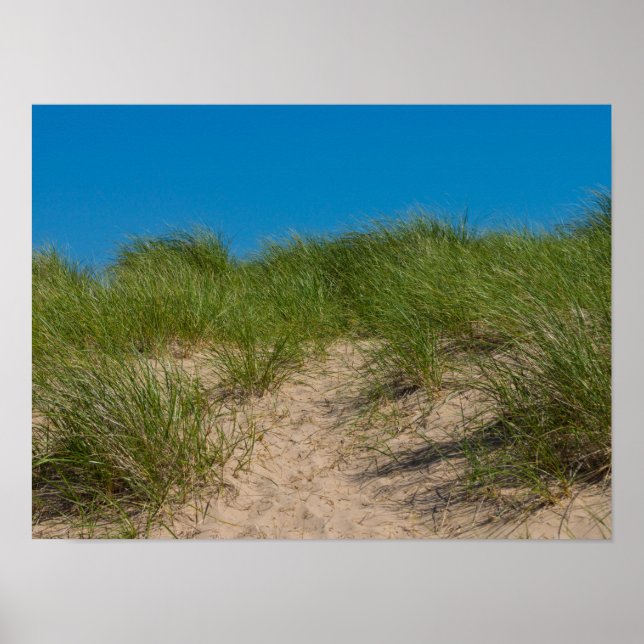 Poster Duna E Aveia (Frente)