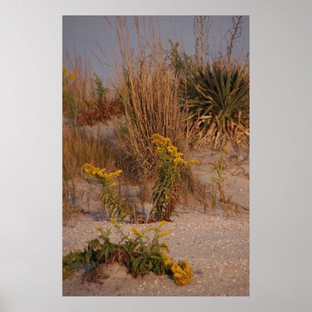 Pôster Dunas (Frente)