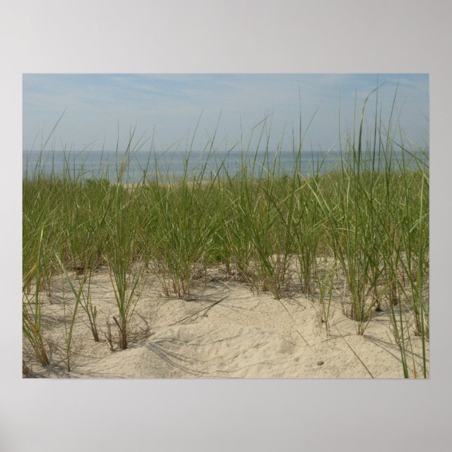 Pôster Dunas (Frente)