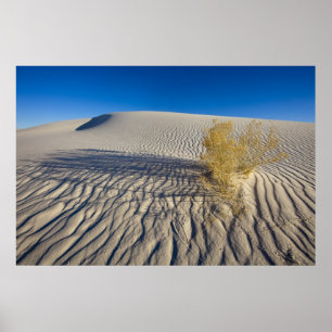 Pôster Dunas de areia no Monumento Nacional White Sands e