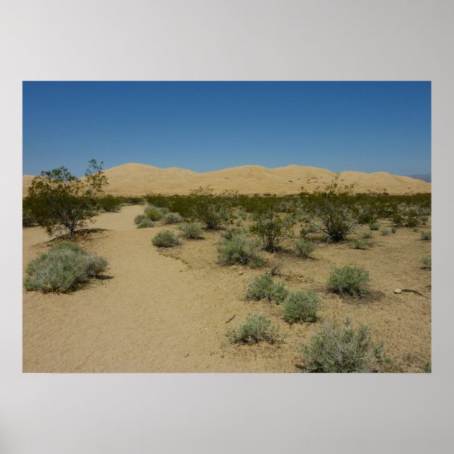 Poster Dunas de Kelso no Parque Nacional de Mojave (Frente)