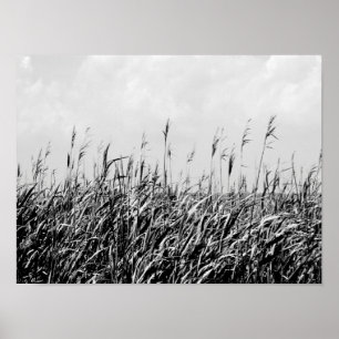 Pôster Dune Triptych III