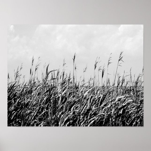 Pôster Dune Triptych III (Frente)