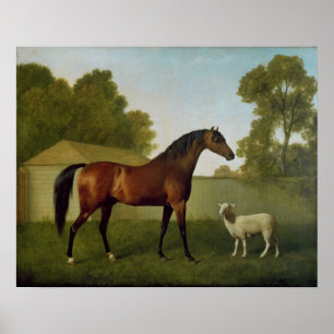 Poster Dungannon, propriedade do Coronel O'Kelly