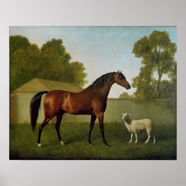 Poster Dungannon, propriedade do Coronel O'Kelly (Frente)