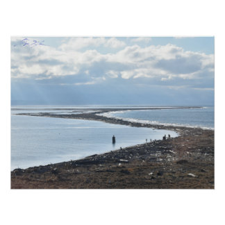 Pôster Dungeness Spit do Farol