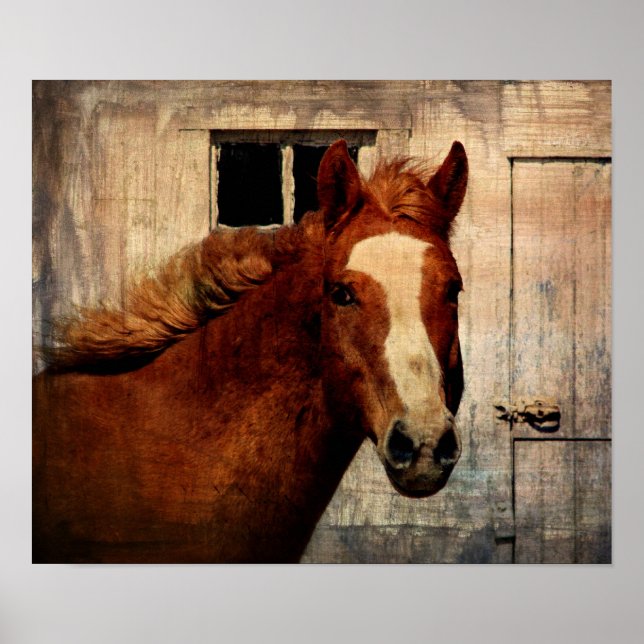 Pôster Dunnit (Frente)