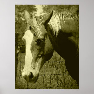 Pôster Dunnit em Sepia Tint