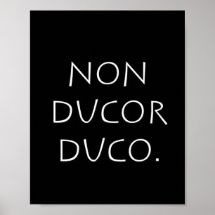 Poster Duo não-ductor