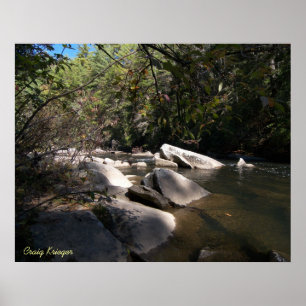 Pôster Dupont River in NC