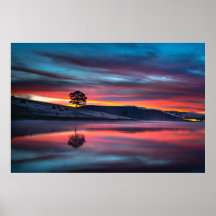 Durante A Hora Do Ouro, Uma Árvore Reflete Em Um C