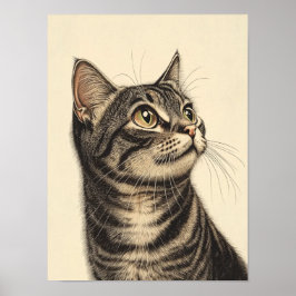 Poster Dürer's Tabby Treasures 1