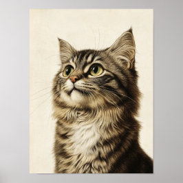 Poster Dürer's Tabby Treasures 3