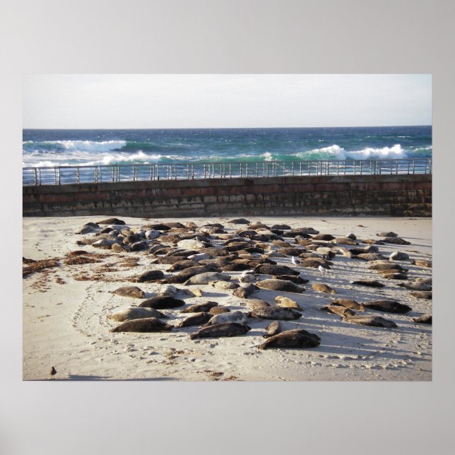 Pôster Duro dia do surf (Frente)