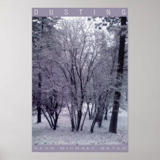 Pôster Dusting