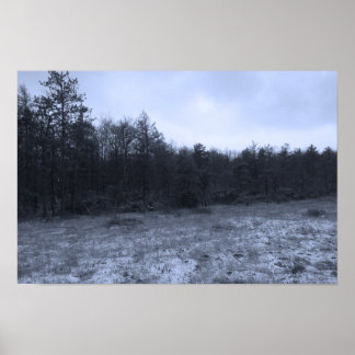 Poster Dusting of Snow at the Bog