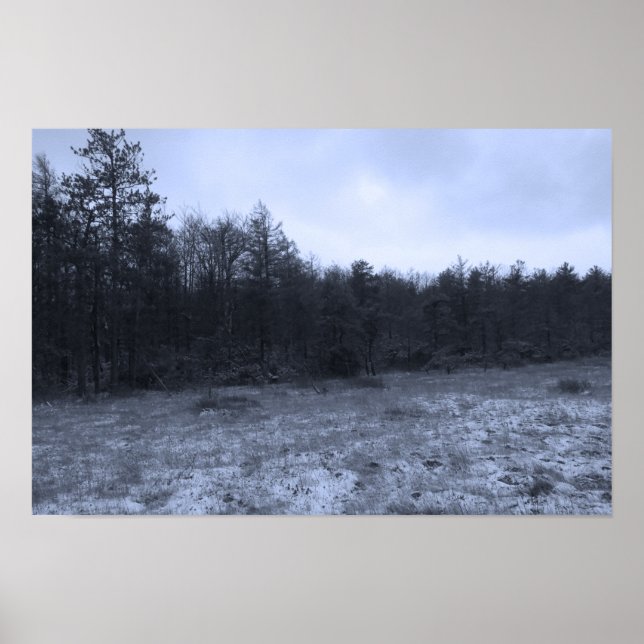 Poster Dusting of Snow at the Bog (Frente)