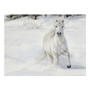 Pôster Dyfra o Cavalo Islandês Galopando na Neve