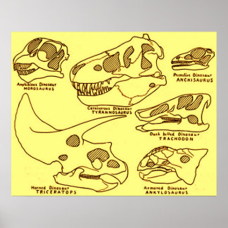 Poster Dynosaur Skulls