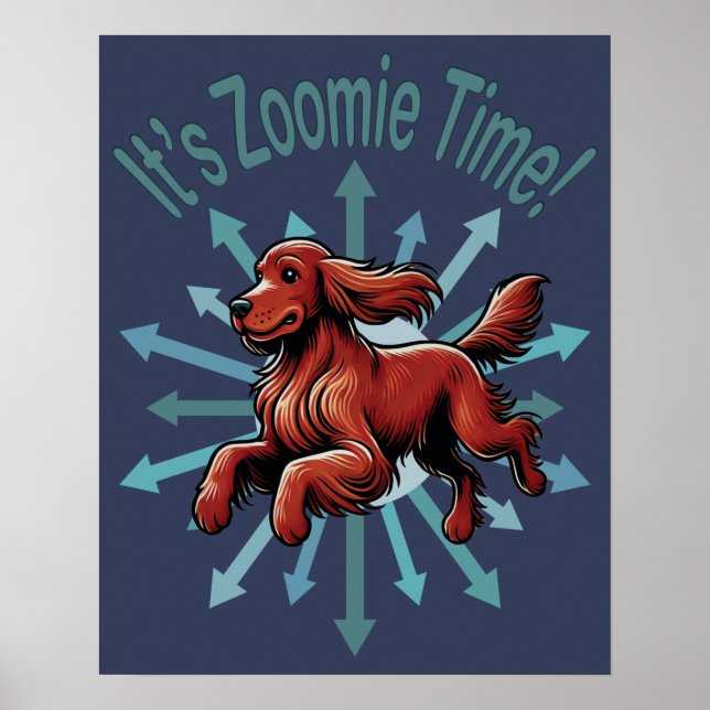 Poster É a Hora do Zoomie Irish Setter (Frente)