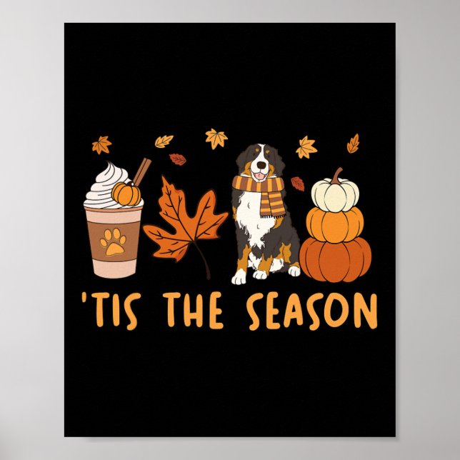 Poster É a Temporada Bernese Mountain Dog Outono Abóbora  (Frente)