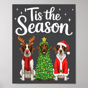 Poster É a Temporada German Shorthaired Inter Natal
