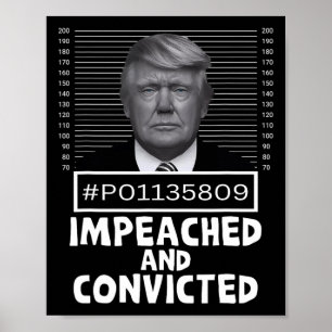 Poster E Condenado Felon 45 Engraçado Anti Trump Mugshot