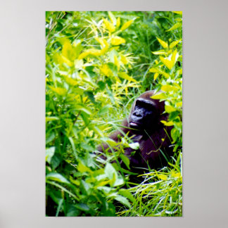 Poster É estranho ser um macaco grande.