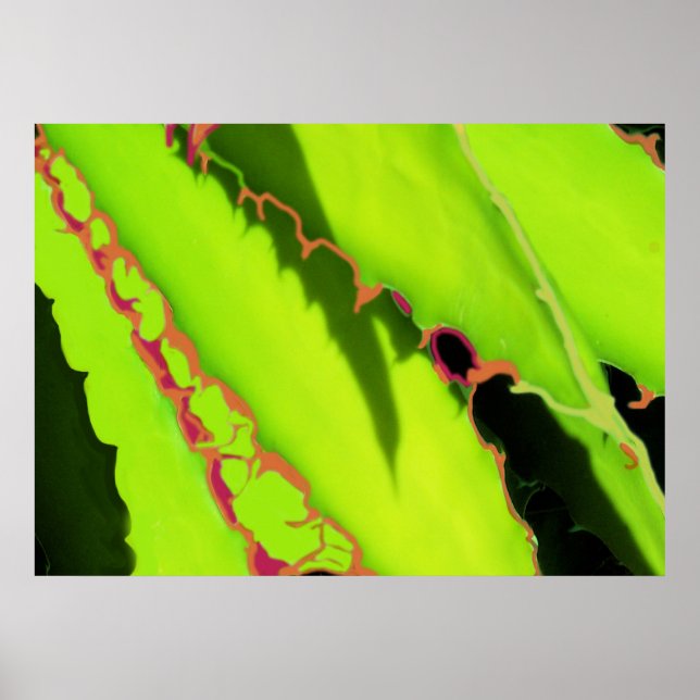 POSTER E IMPRESSÕES (Frente)