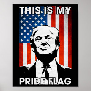 Poster É minha bandeira do Orgulho Trump American Flag 4