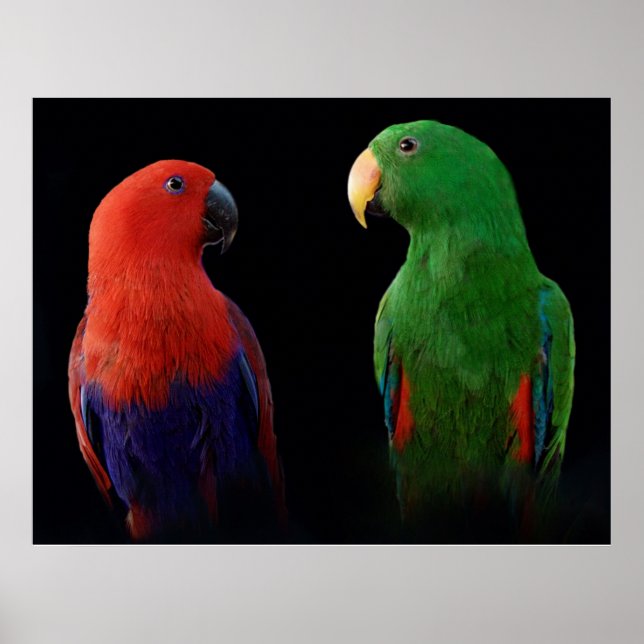 Poster É o Amor! (Frente)