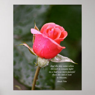 Poster E o dia veio….