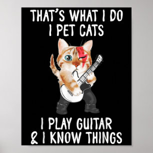 Poster É o que eu faço eu acaricio gatos eu toco guitarra