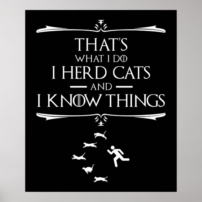 Poster É o que eu faço... eu tenho gatos e sei coisas (Frente)