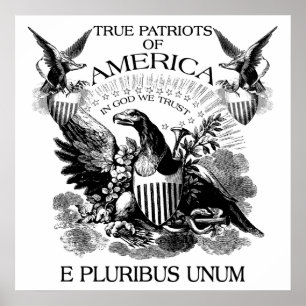 Pôster E Pluribus Unum