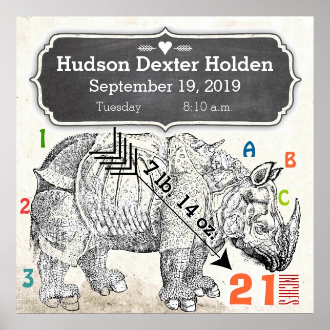 Poster É um menino! Rinoceronte-Bebê Novo (Frente)