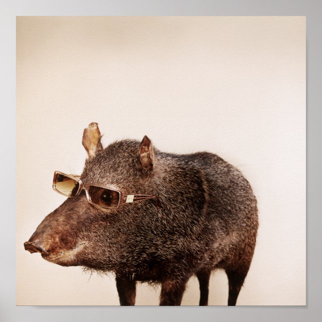 Poster E você está? (Frente)