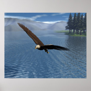 Poster Eagle