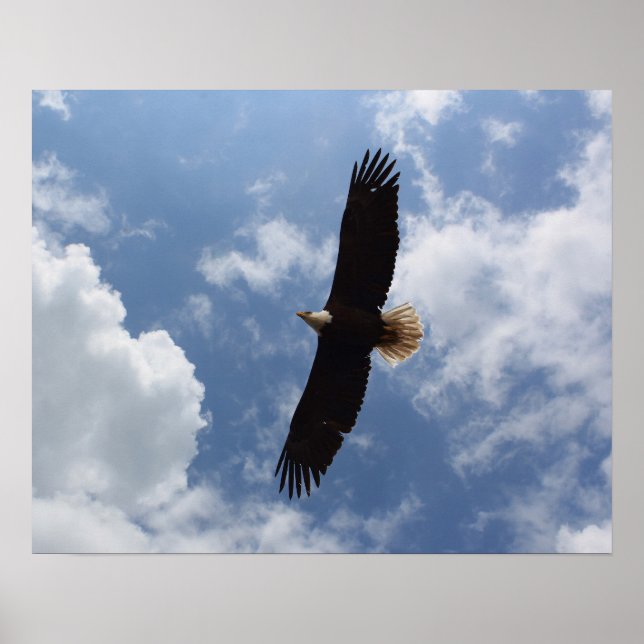 Poster Eagle 2025 (Frente)