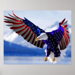 Poster Eagle americano