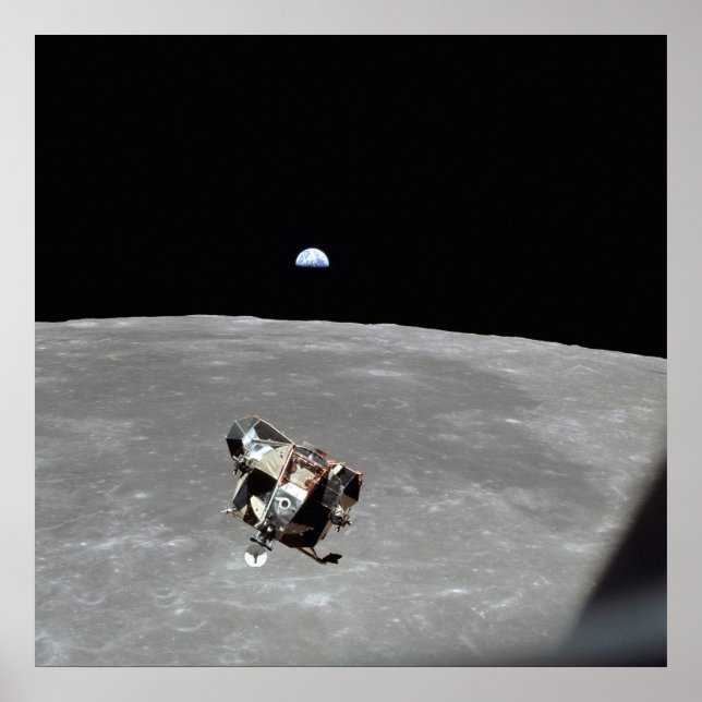 Poster Eagle Ascent Palco de 24"x24" (Frente)