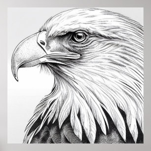 Poster Eagle Bird Wild Nature Illustration Art